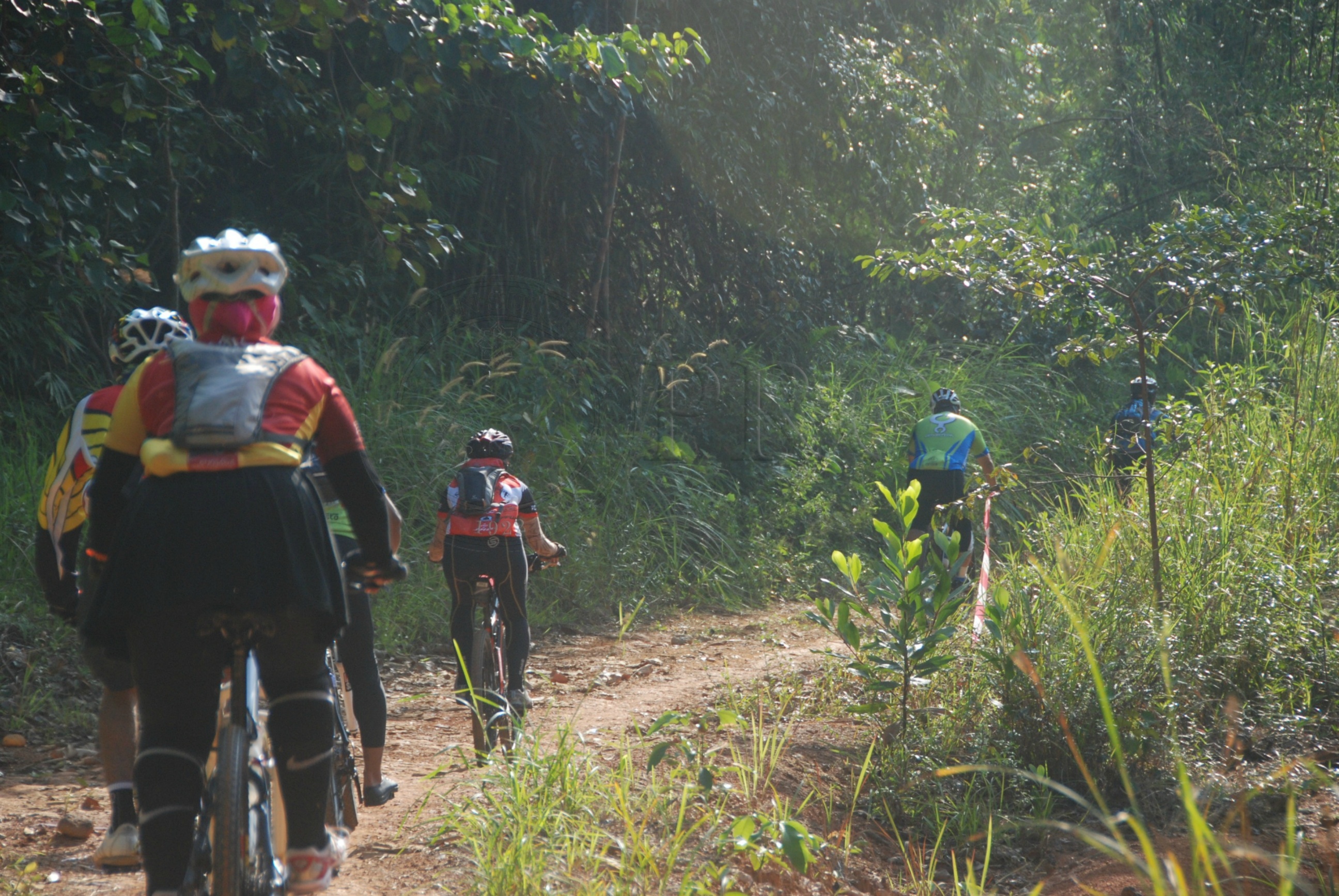 BPKK 12 145 jamboree DSC 1130